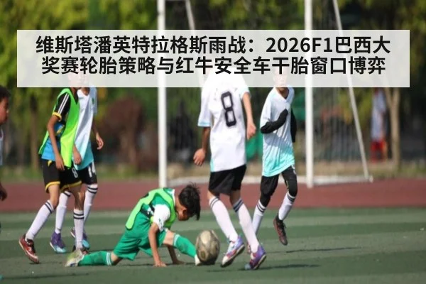 维斯塔潘英特拉格斯雨战：2026F1巴西大奖赛轮胎策略与红牛安全车干胎窗口博弈