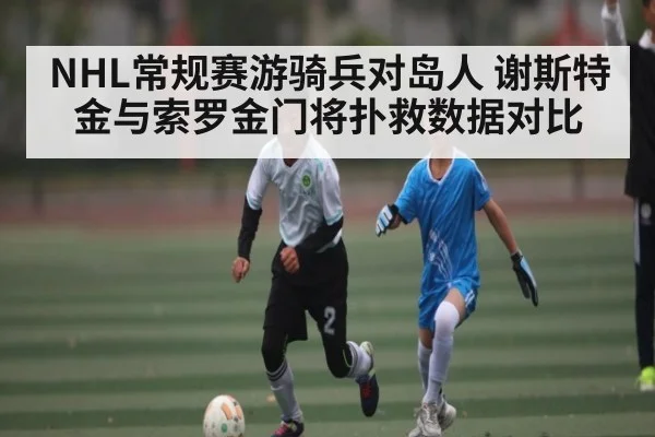 NHL常规赛游骑兵对岛人 谢斯特金与索罗金门将扑救数据对比
